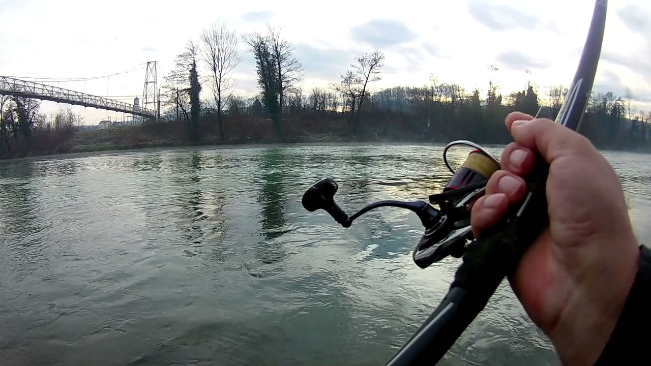 Float fishing , ribolov škobalja na plovak