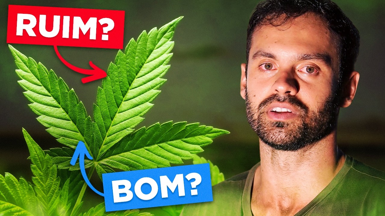Precisamos falar sobre maconha.