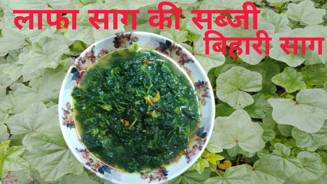 झट पट बनने वाली बिहार बंगाल मजेदार लाफा साग | Lafa Saag Recipe |Lafa Saag Kaise Banta Hai #lafa_saag
