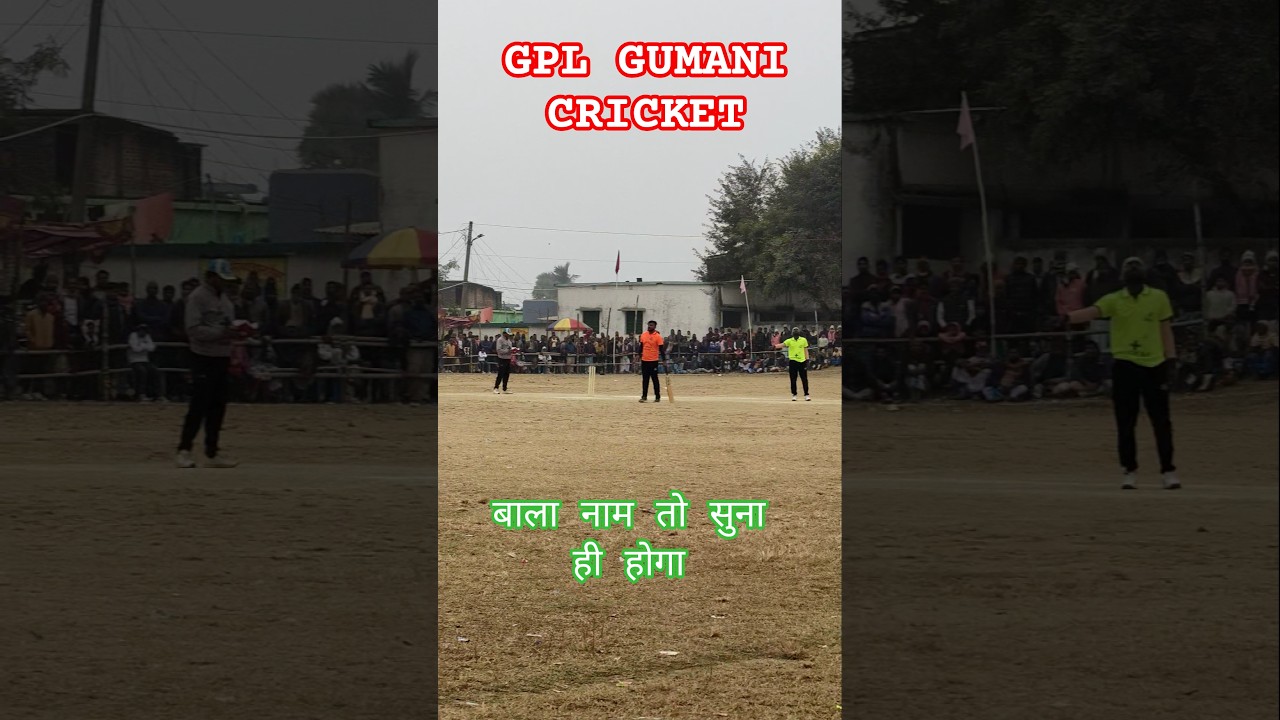 Cricket Lover Status #cricket #cricketlover #cricketfans #viral