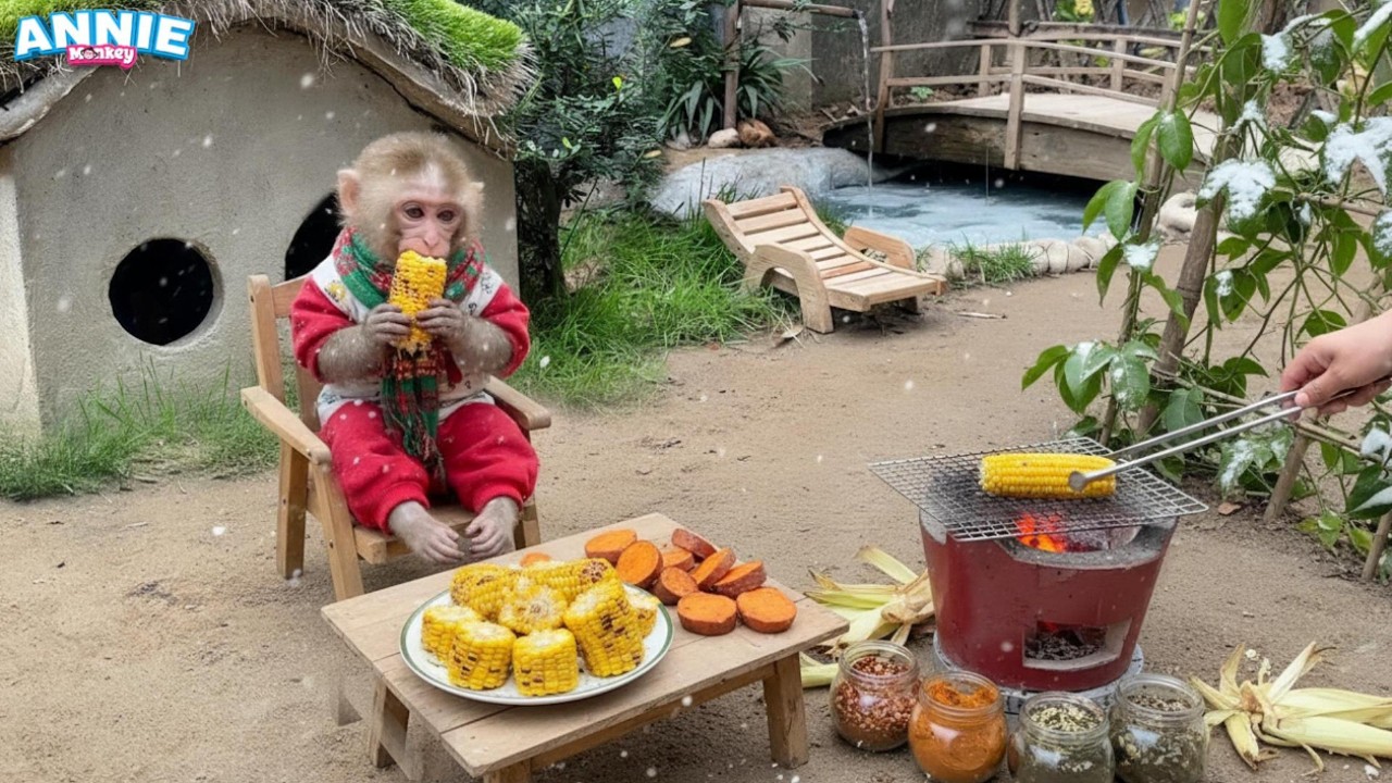 Monkey Annie grills corn with her dad and enjoys it in the cold snow