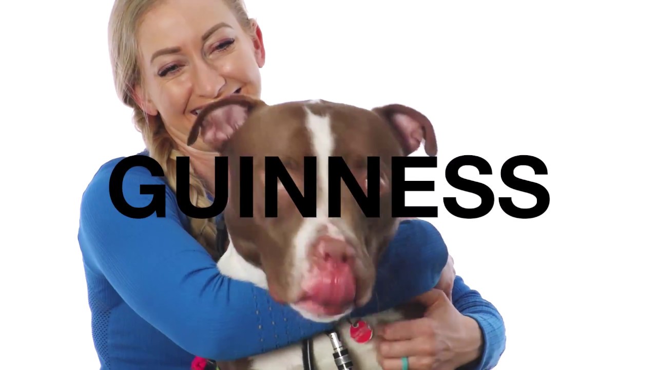 Adopt Guinness at NKLA