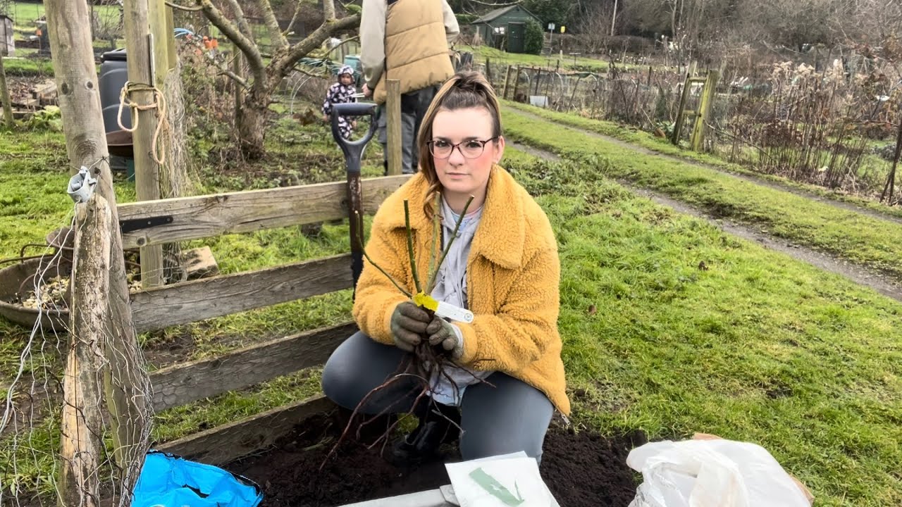 The generous gardener and signs of spring, early February 2026 🧚‍♀️🌹 