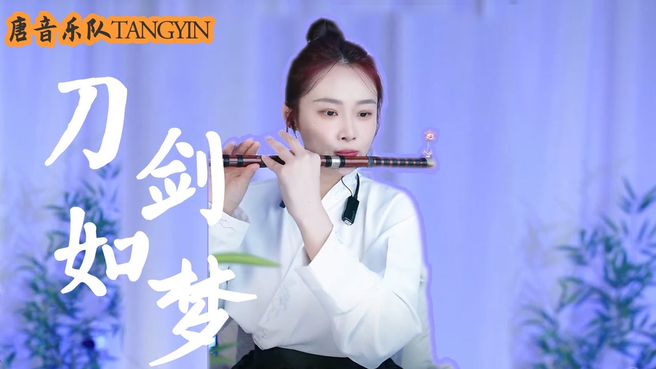 【唐音樂隊】竹笛Flute《刀劍如夢》周華健 | 我劍 何去何從 愛與恨 情難獨鍾 |二胡Erhu竹笛Flute古箏Guzheng電吉他Guitar電子琴Electronic keyboard