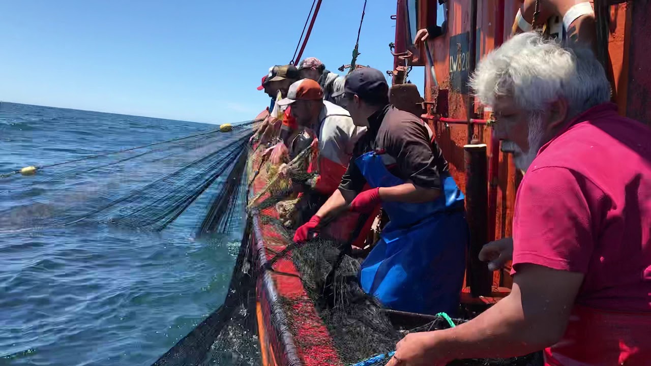 Pesca artesanal de anchoita