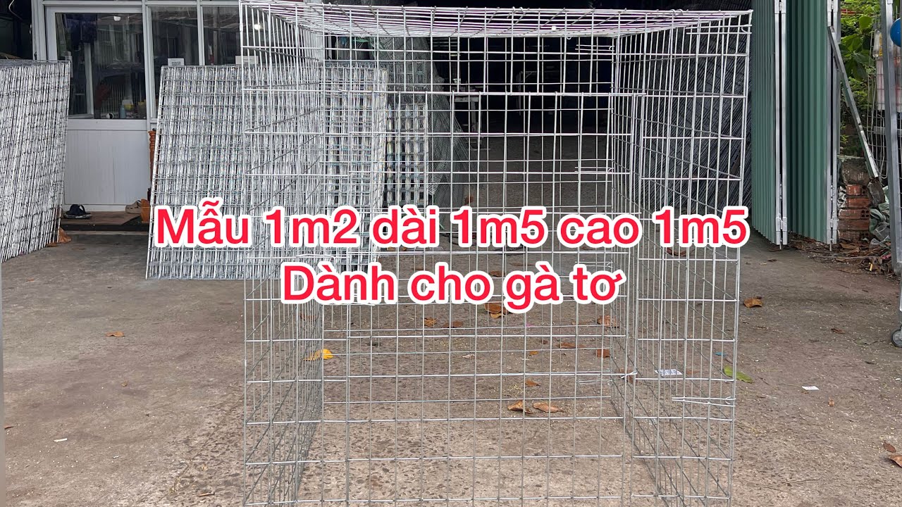 Mẫu 1m2 dài 1m5 cao 1m5 dành cho gà tơ, gà mới úp bội.