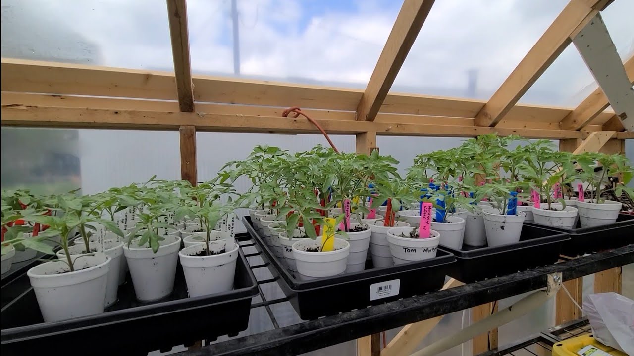 Spring Homestead Tour.