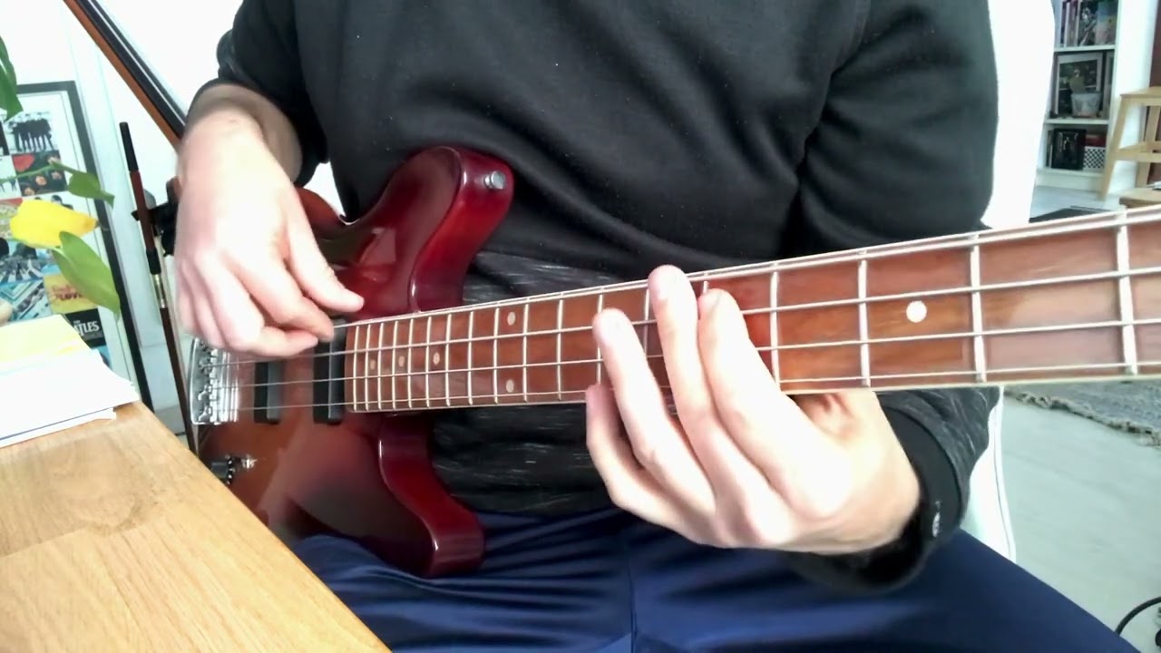 Rickenbacker 2030 1992 Roundwound Strings Demo