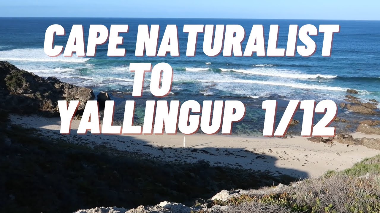 Cape to cape track WA