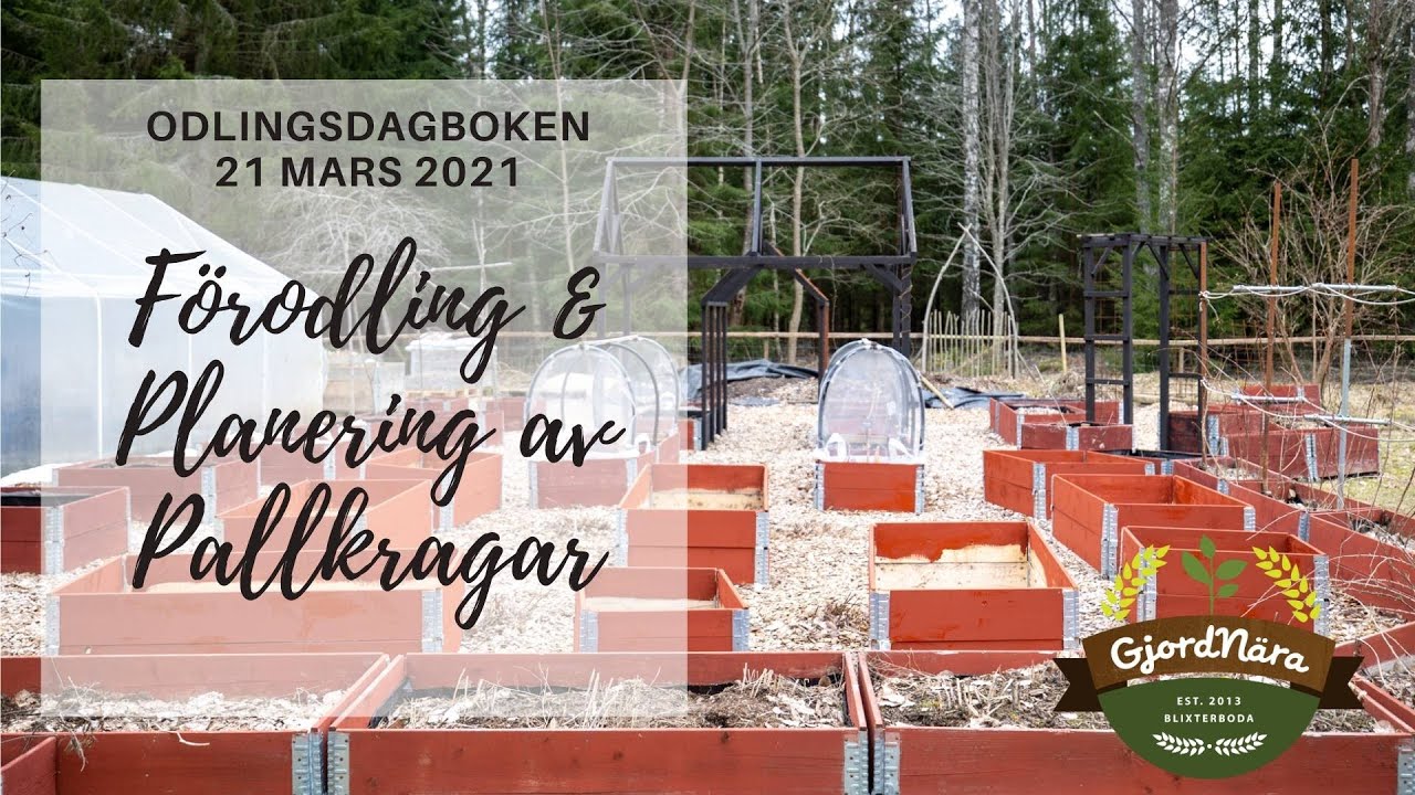 Förodling och nytt pallkrageområde - Odlingsdagboken 2021-03-21