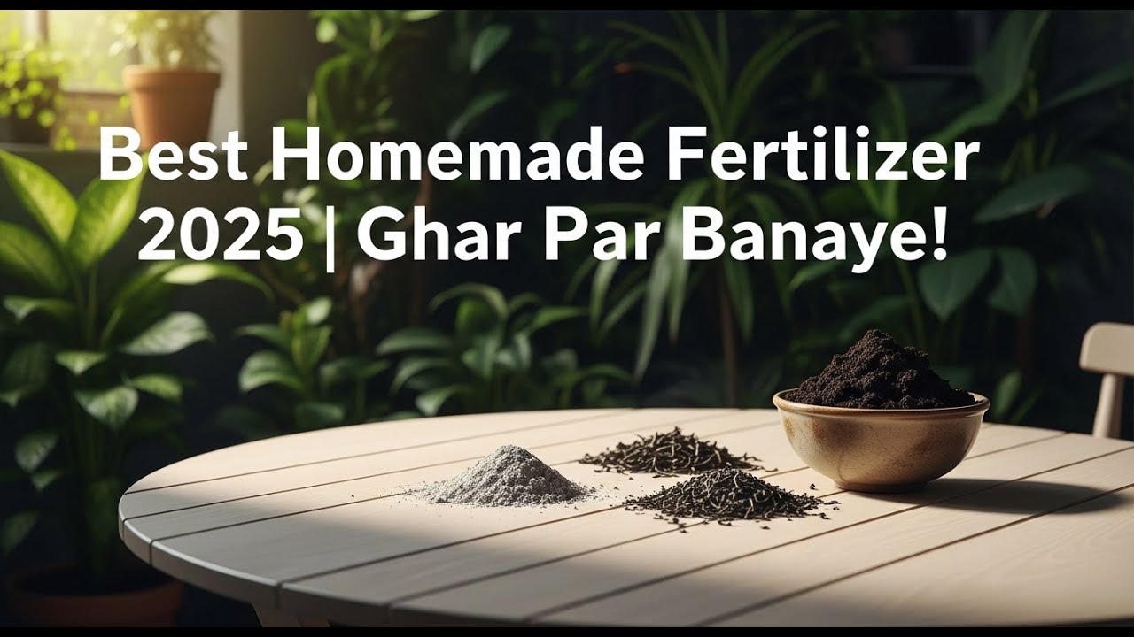 DIY Organic Fertilizer 2025 | Indoor & Outdoor Plants Ke Liye Best Homemade Fertilizer