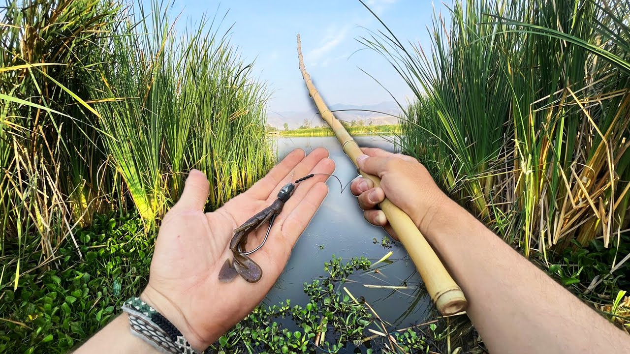 RETO de Pesca con Caña Primitiva!