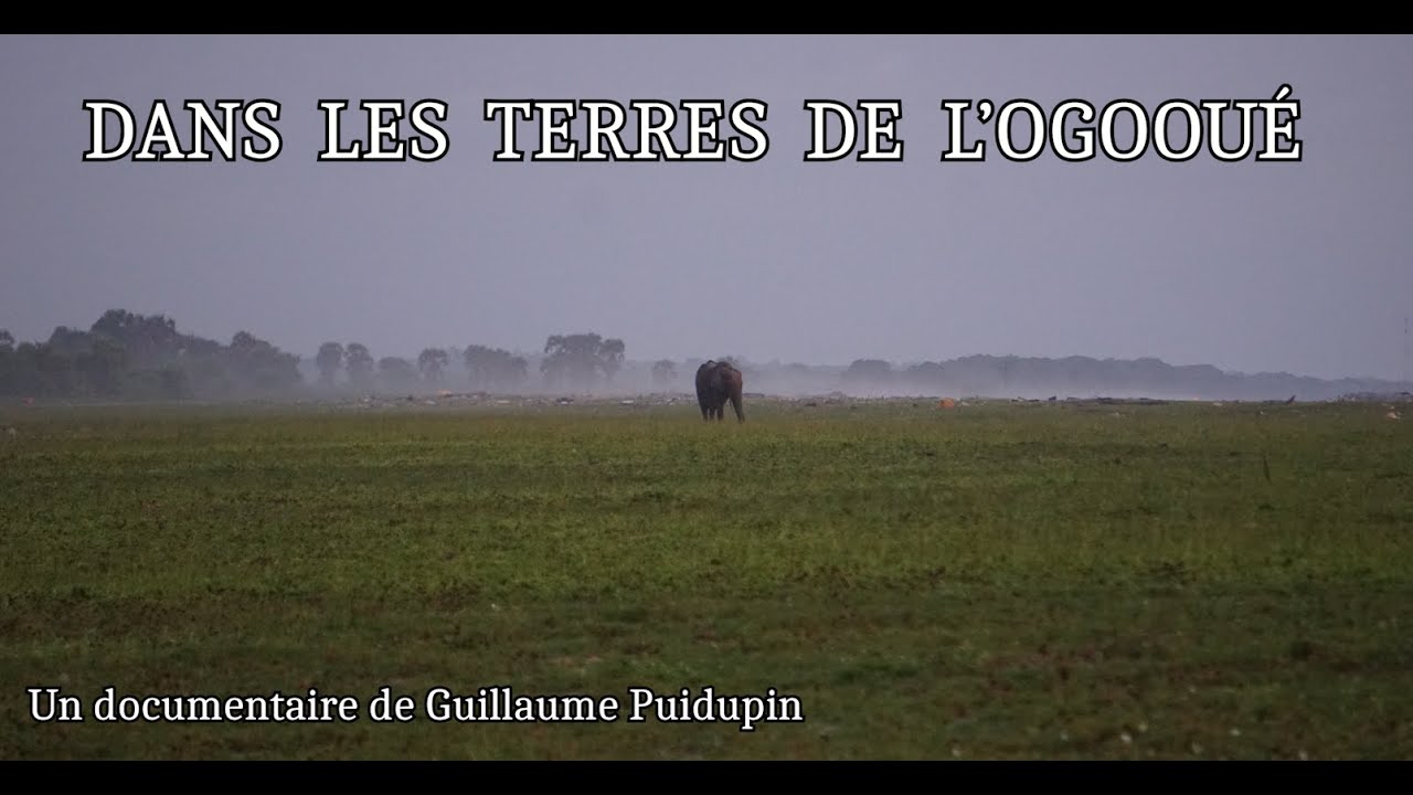 DANS LES TERRES DE L'OGOOUÉ, documentaire