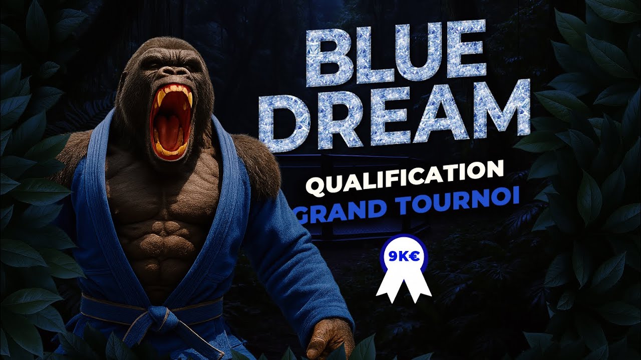 Gorilla BJJ 002 Combat -76kg (Bluedream) avec  GREG MMA