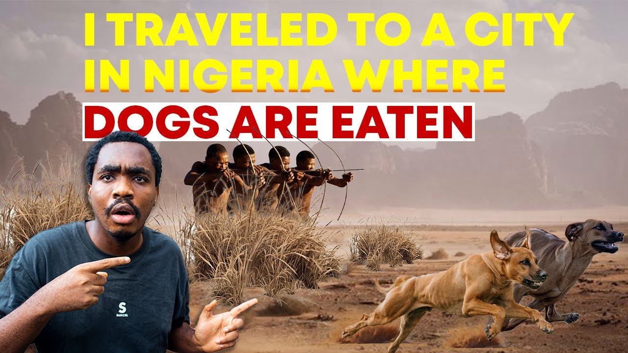 I TRAVELLED TO A CITY IN NIGERIA WHERE DOGS ARE EATEN