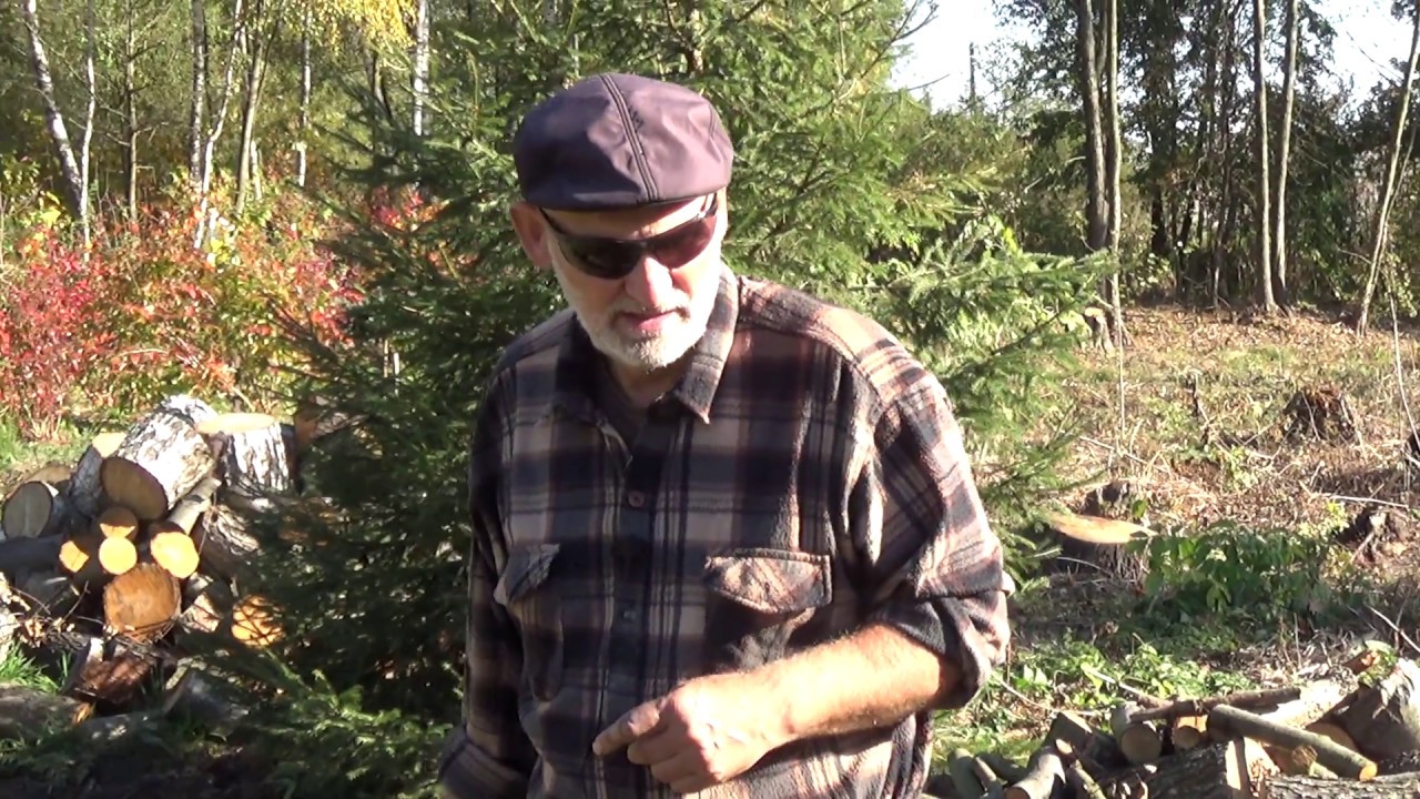 Zakładamy warzywnik, cz. 1