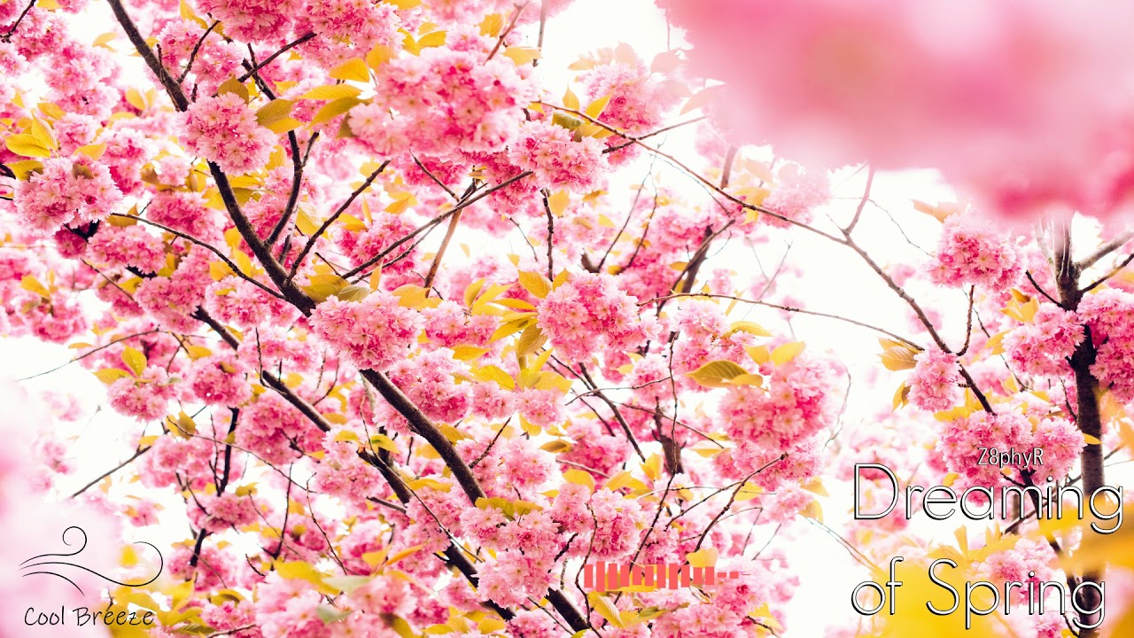 Z8phyR - Dreaming of Spring (Original Mix) [Free Download] [2019]