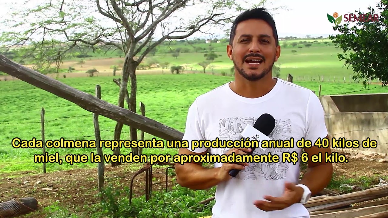 Projeto Dom Távora - vídeo 01 - legendas em espanhol