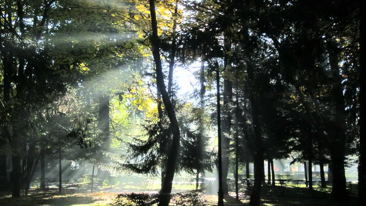 Cetinjske Ki&scaron;e - Perper