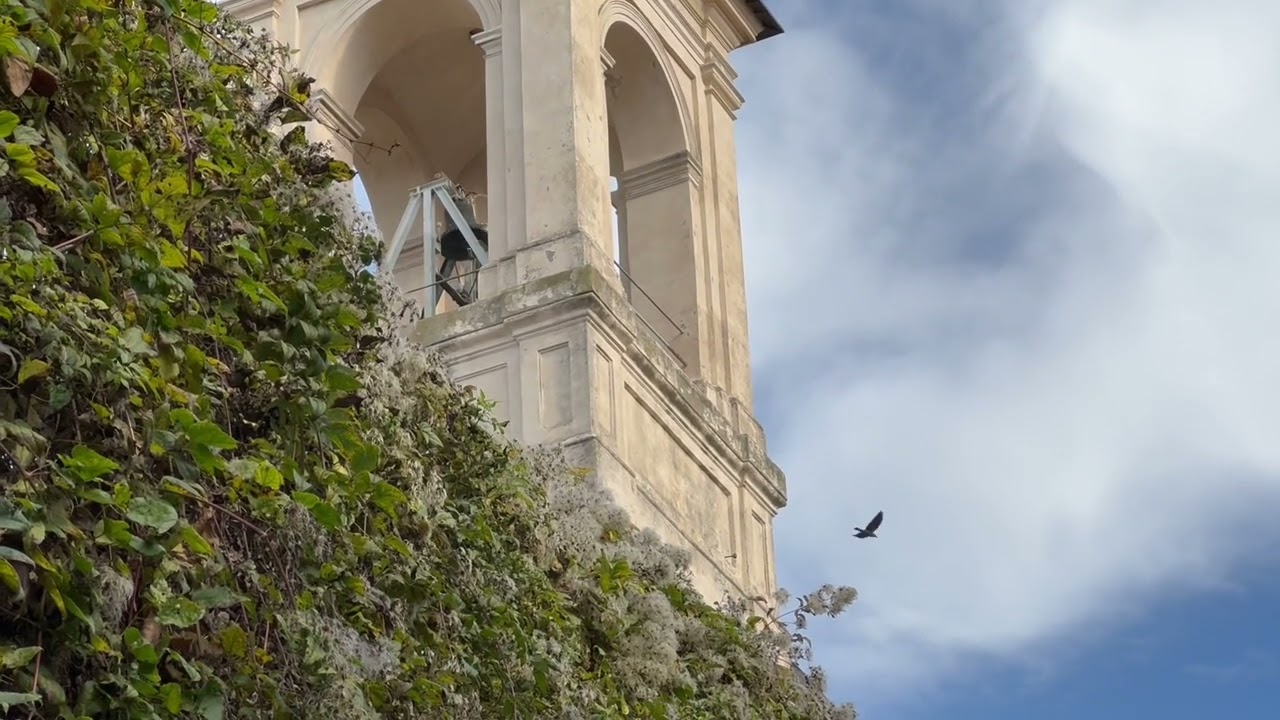 Suonata Festiva della Chiesa della SS Trinità a Viterbo Domenica 21 Dicembre 2025
