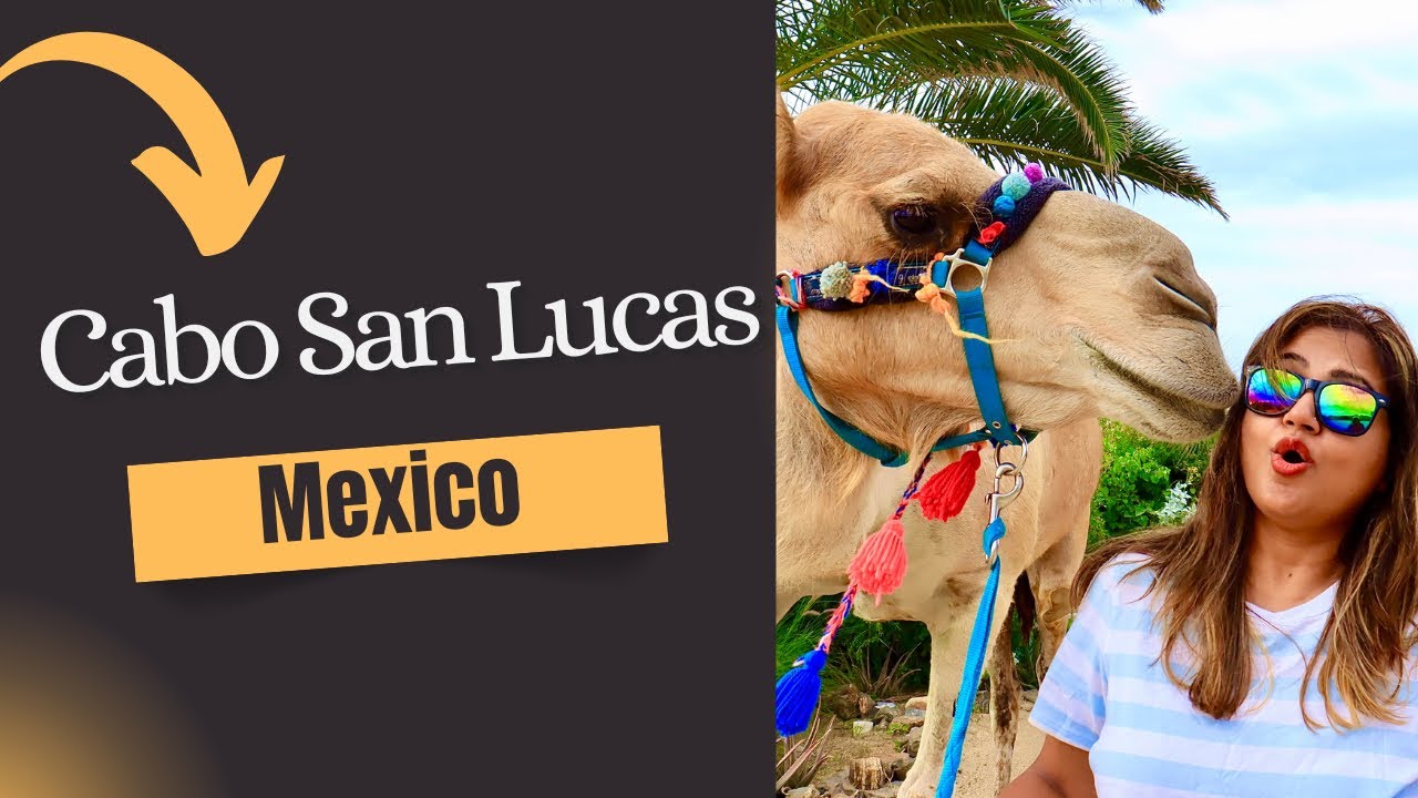 EP: 61 | CAMEL Ride and more | Cabo Adventures | Mexico | DAY-3 CRUISE TRIP