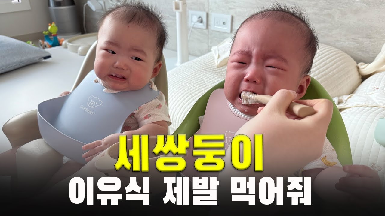 세쌍둥이 초기 이유식 시작했습니다ㅣ이유식 만들기ㅣ삼둥이 현실 육아 24시간 ㅣ6개월 아가ㅣ육아 브이로그ㅣ출산장려ㅣ아기ㅣVLOG