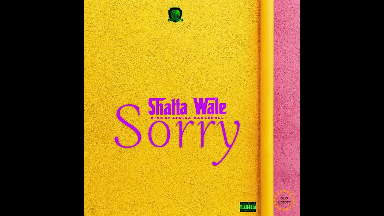 Shatta Wale - Sorry (Audio slide)