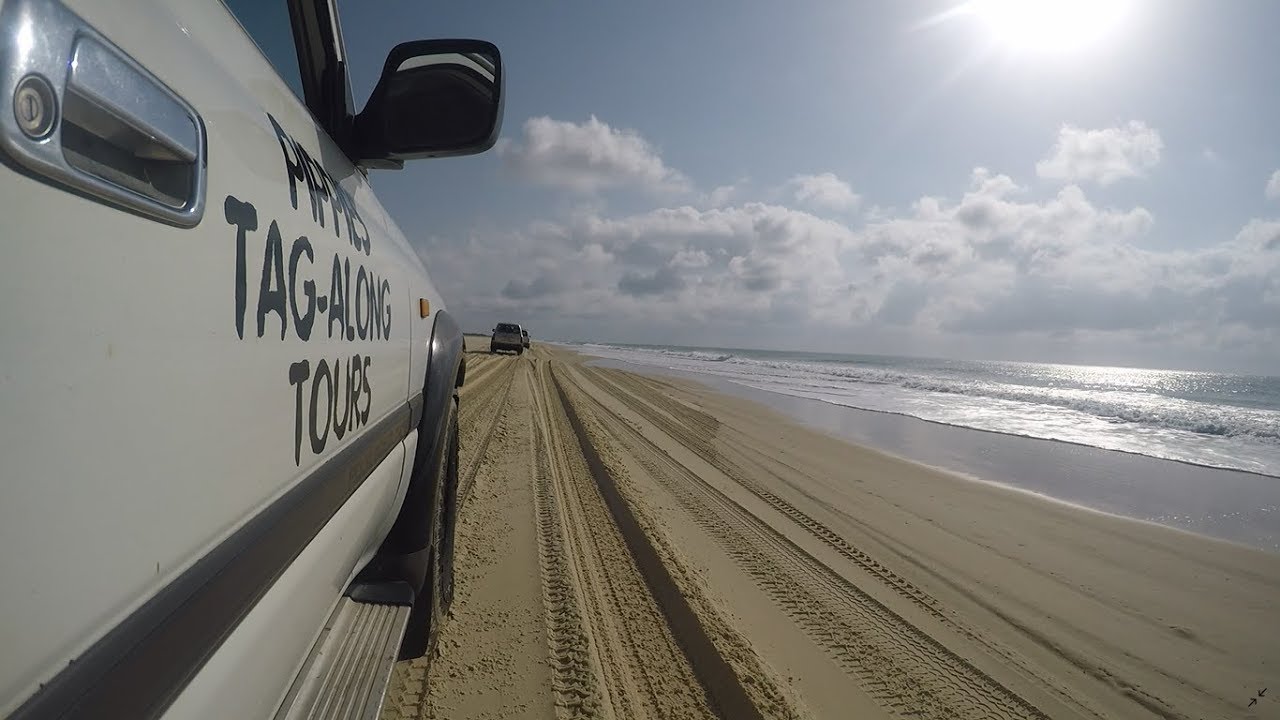 Fraser Island- 4x4 Tag Along- Pippies