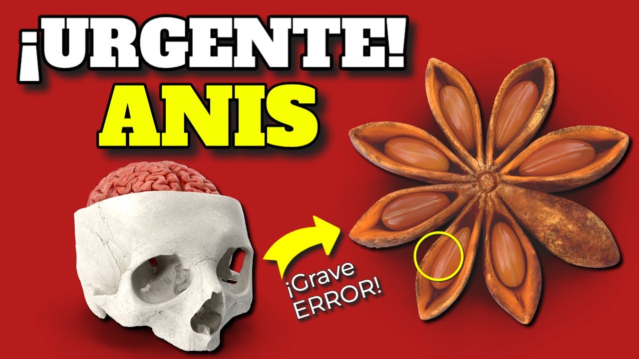 &iexcl;PELIGRO!: &iexcl;SI TOMAS ANIS, ES URGENTE que SEPAS ESTO!| ANIS ESTRELLADO &iquest;ES BUENO o ES VENENO?