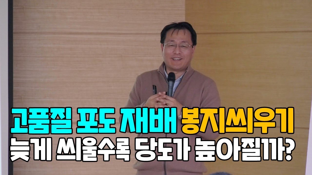 포도 봉지를 늦게 씌울수록 당도가 높아질까?
