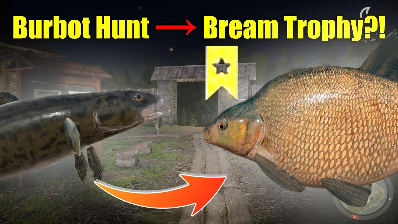 Russian Fishing 4 – Old Burg Lake: Hunting Burbot, But Caught a Bream Trophy?!