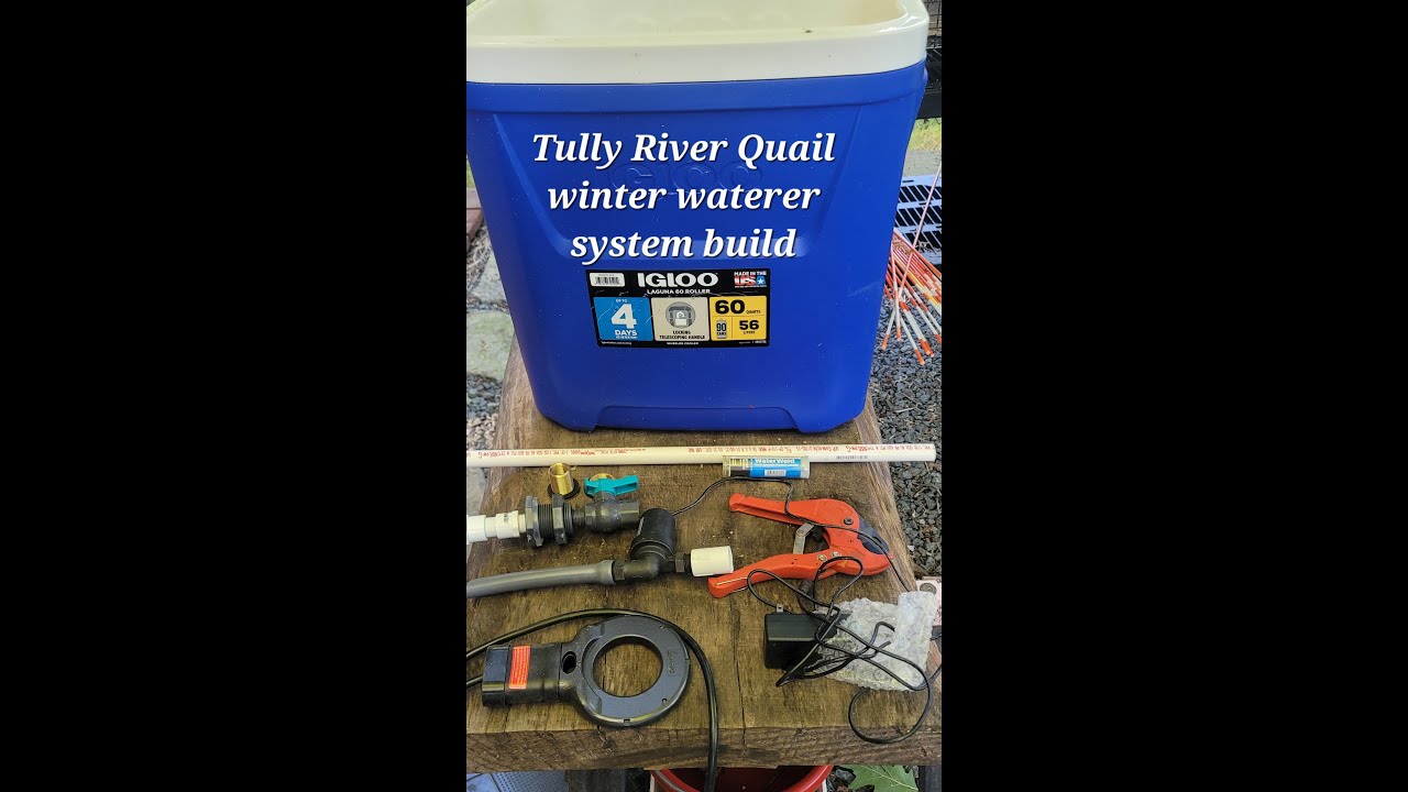 How To Build a Winter Freeze Resistant Quail Auto waterer