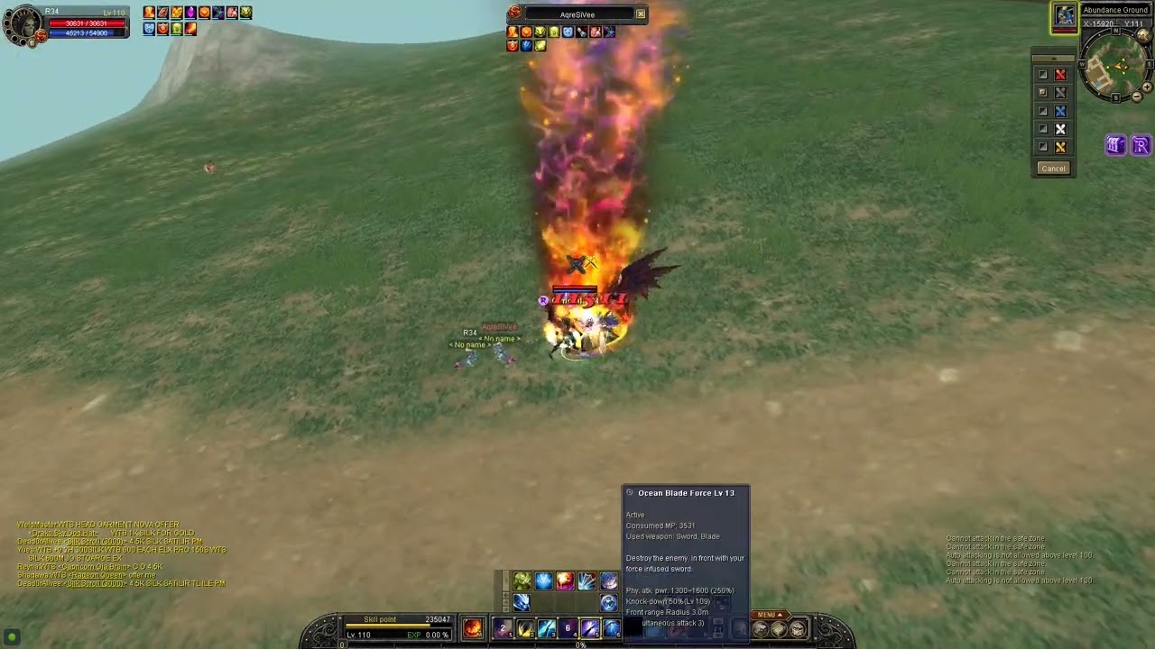 Silkroad sword pvp 110 cap