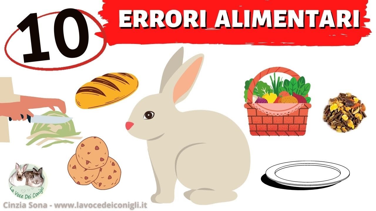 10 ERRORI nell'alimentazione del coniglio