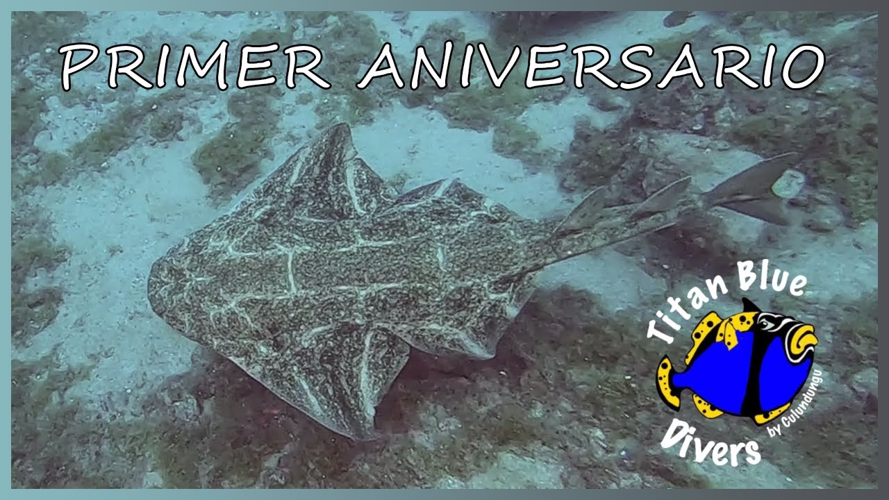 Primer Aniversario TITAN BLUE DIVERS | Buceo Lanzarote Julio 2022