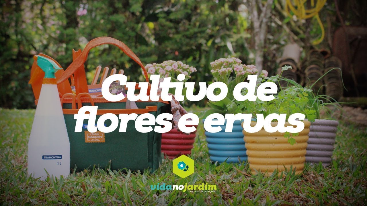 Cultivo de flores e ervas para pequenos espa&ccedil;os