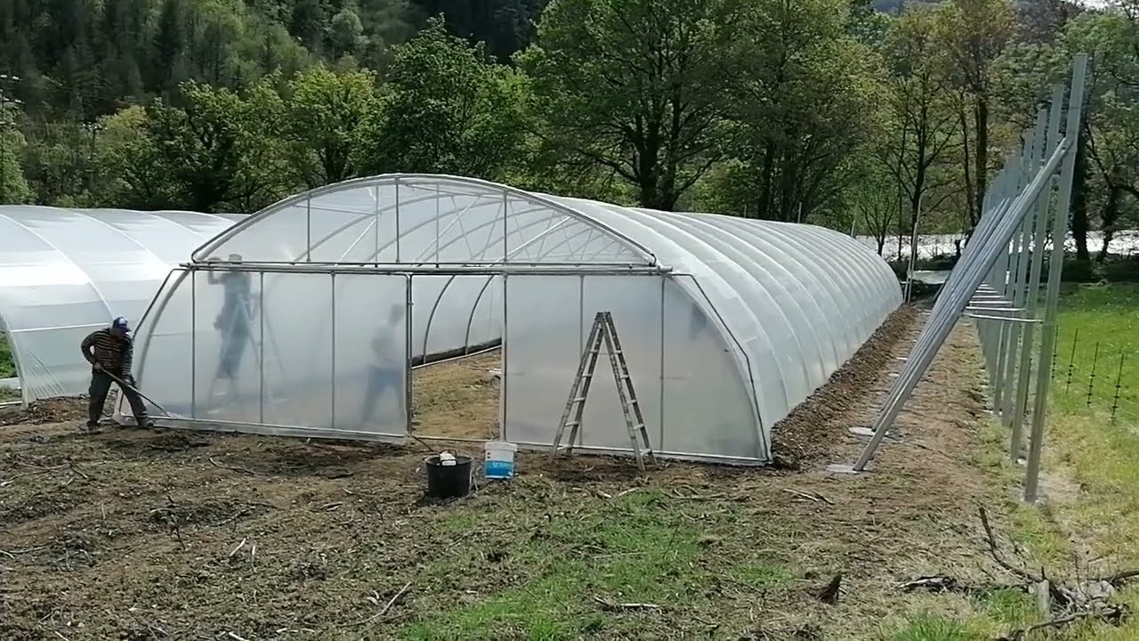 Confectionam portile si capacele batante SOLAR de LEGUME ❗