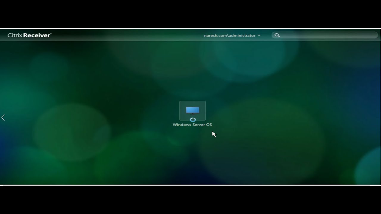 Citrix VDI keeps loading and doesn't launch.