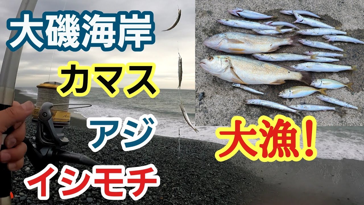 【大磯海岸】ジグサビキ・アオイソメで大漁！ 夜釣り～朝マズメの釣り　2023年7月中旬 中潮 テナガエビも