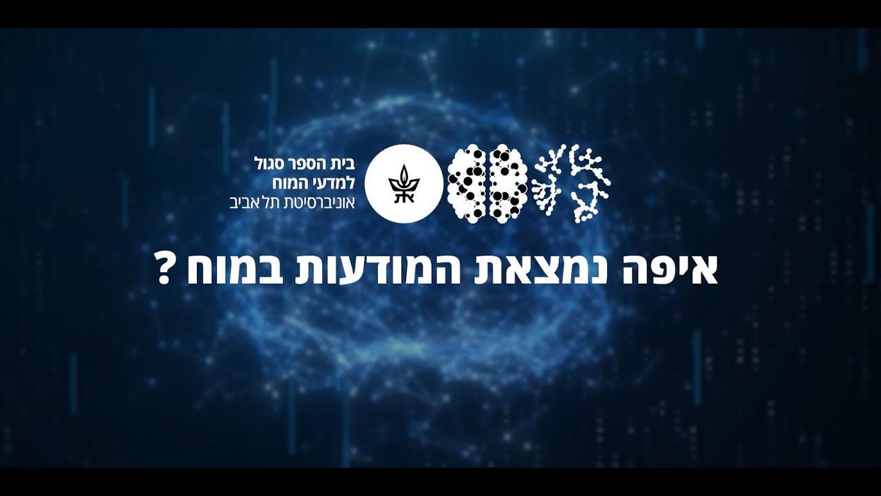 איפה נמצאת המודעות במוח?