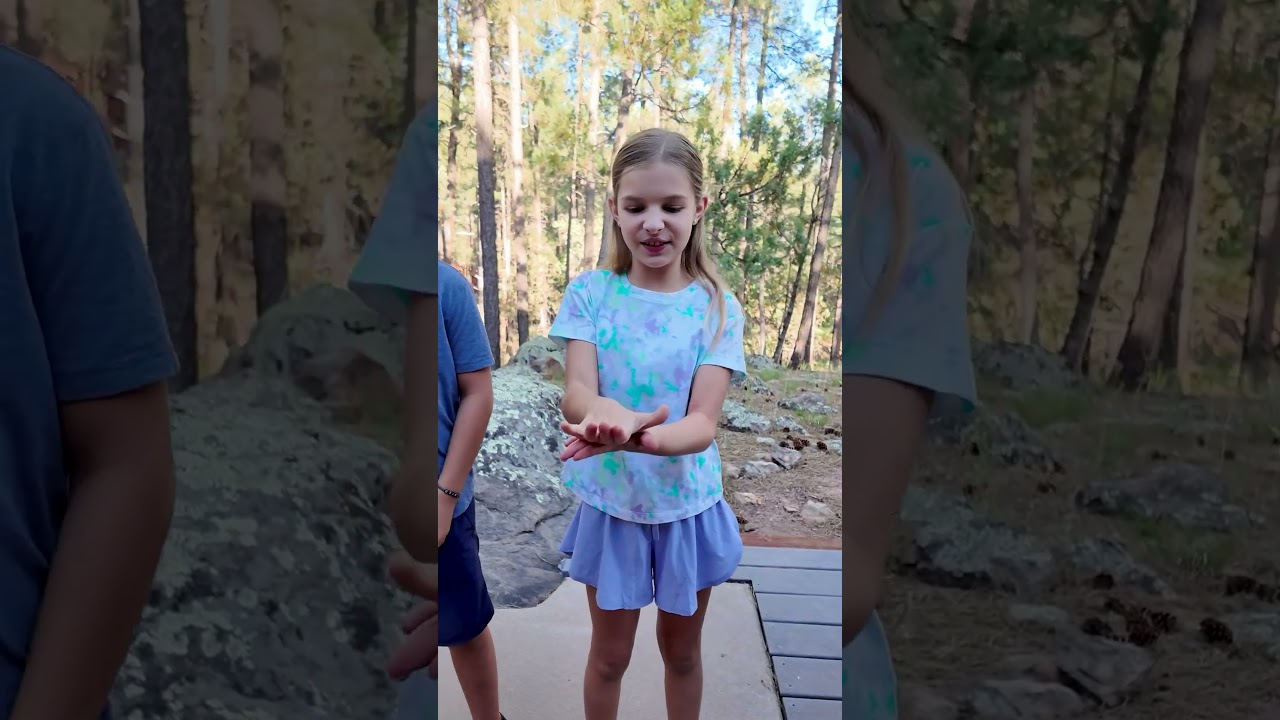 #rockpaperscissors #kidsgames