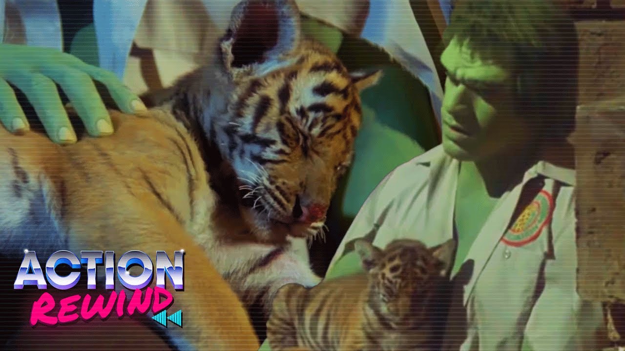 Hulk Finds Solace With A Tiger Cub | The Incredible Hulk | Action Rewind