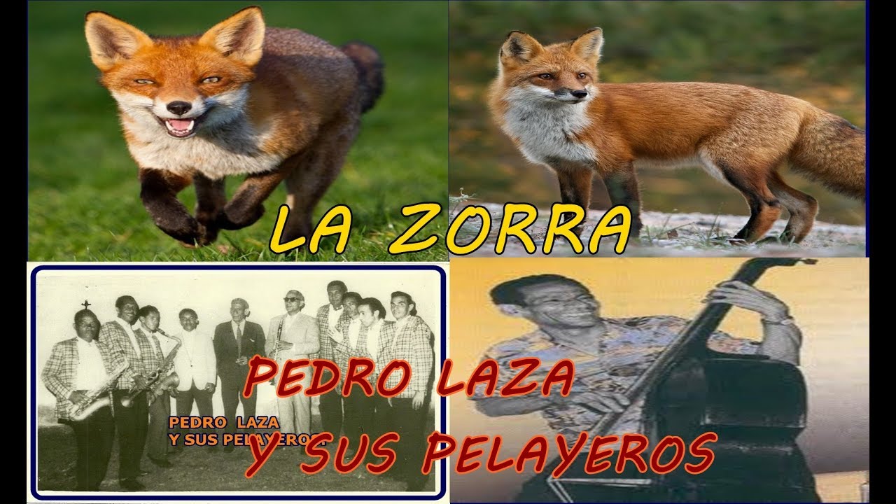 LA ZORRA  PEDRO LAZA Y SUS PELAYEROS