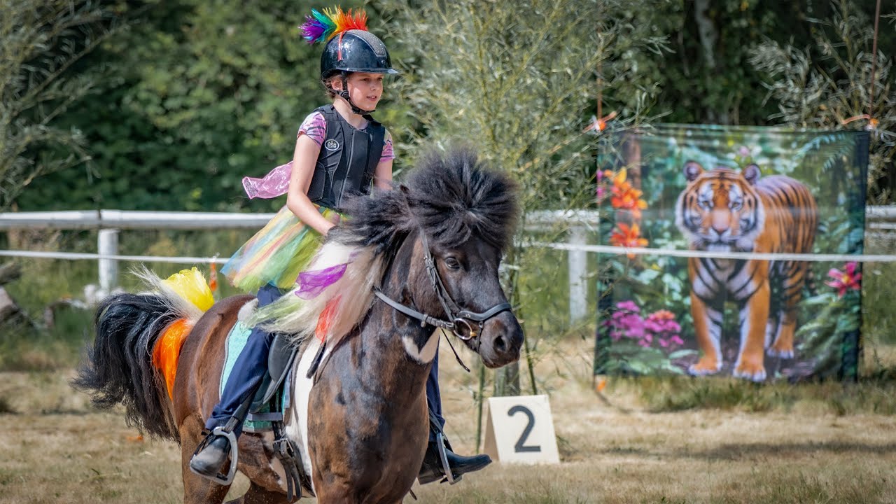 Reitercup Dreieich 2025 - Orientierungsritt, Geschicklichkeitsparcours, Voltivorführung, Powertrail