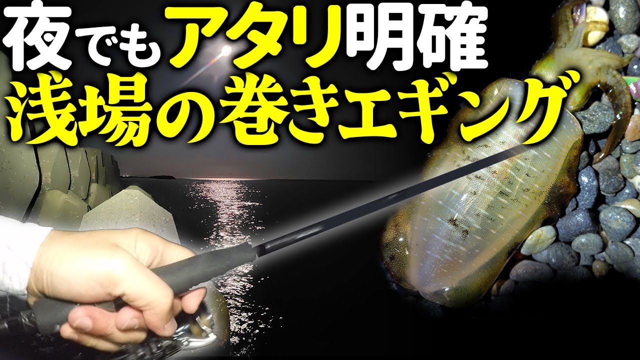 【サーフエギング】月夜の新子シーズン。良型アオリイカを求めてサーフ徘徊