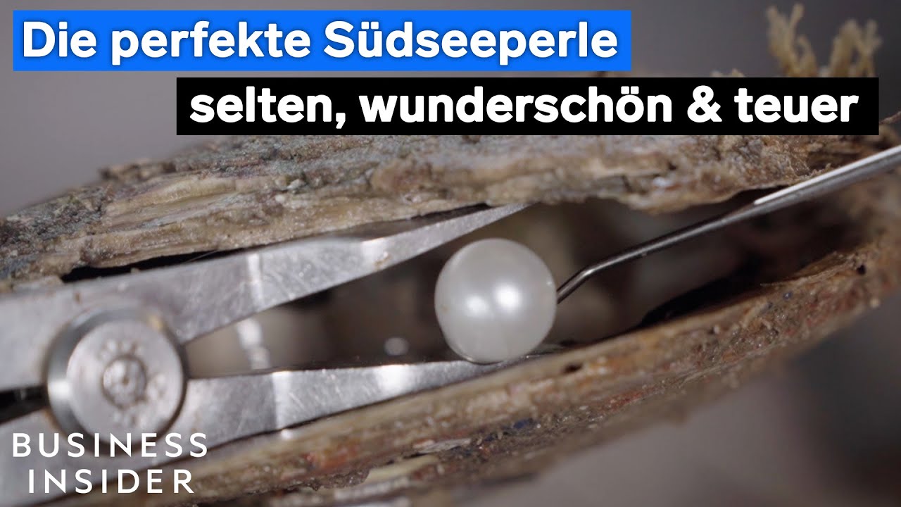 Südseeperlen: Aufwendige Zucht, sehr hoher Preis. #perlen #teuer
