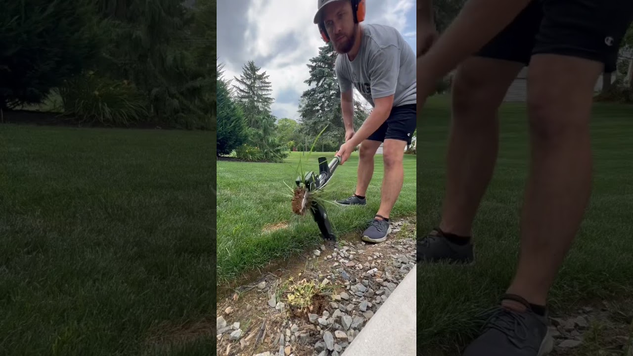 #best #weed #puller # #oddlysatisfying #satisfying #crab #grass #lawn #diy #before #after #weeding