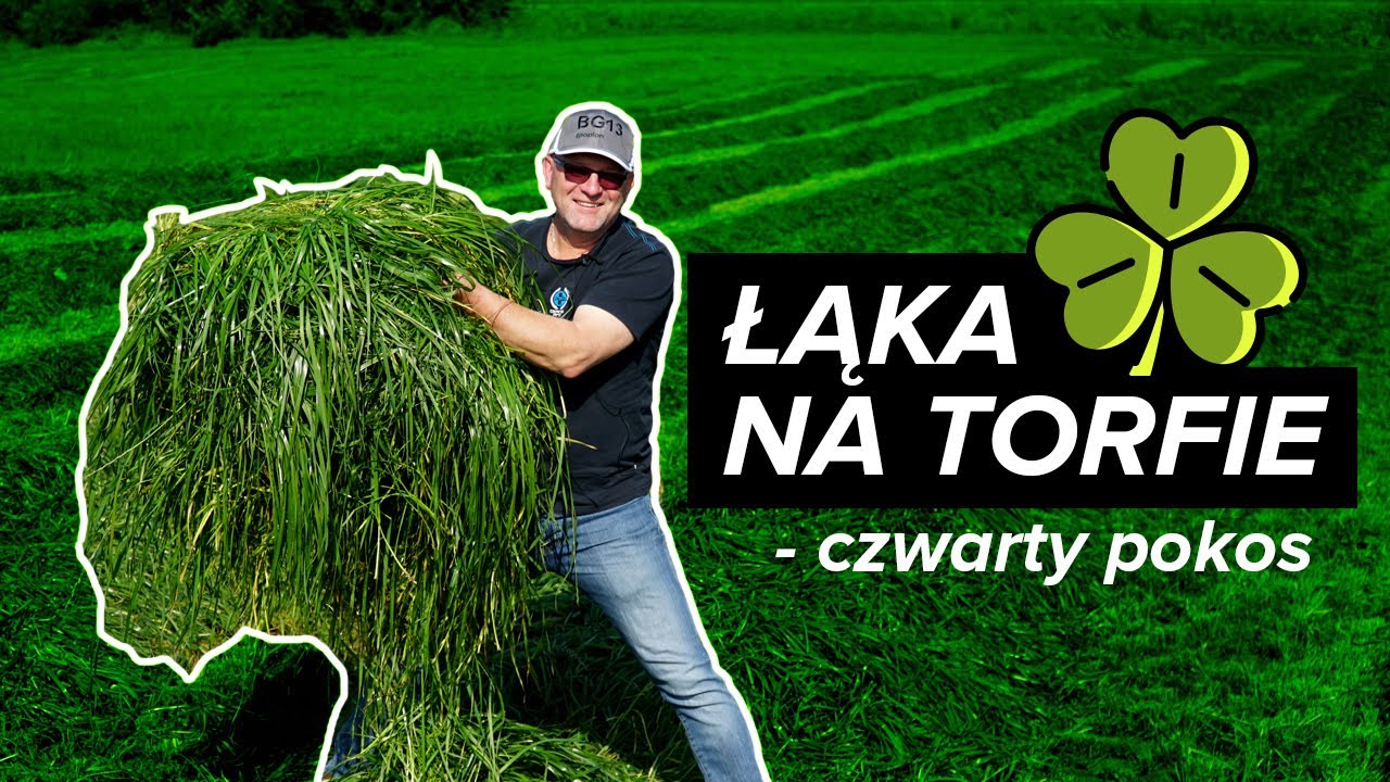 Łąka na TORFIE - kosimy CZWARTY pokos | MIFARM