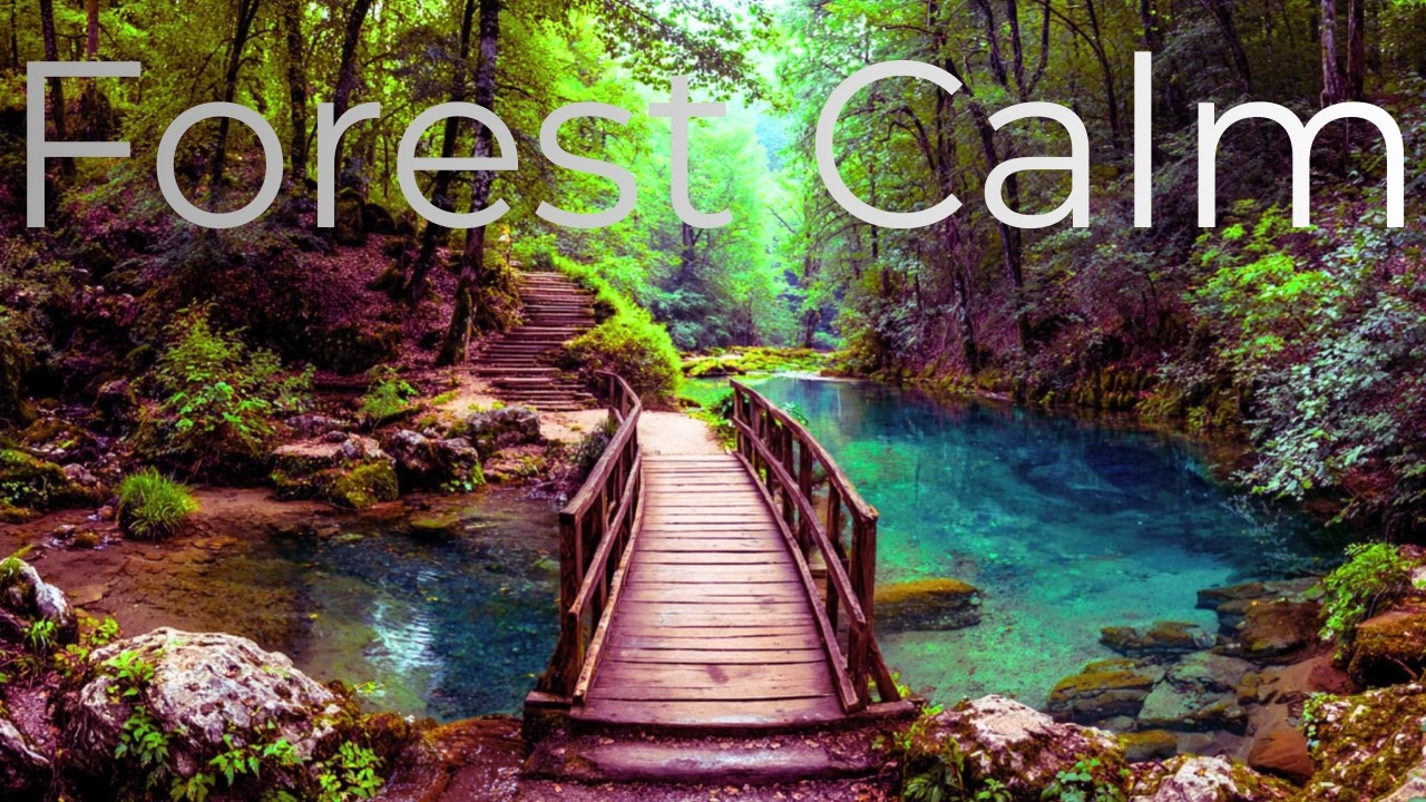 Forest Bridge — Relaxing Ambient Music for Sleep & Relaxation
