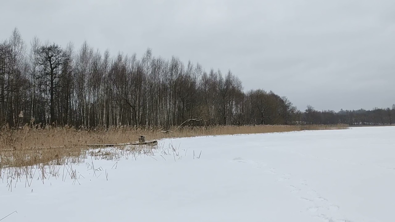21 марта 2021 г озеро Берново